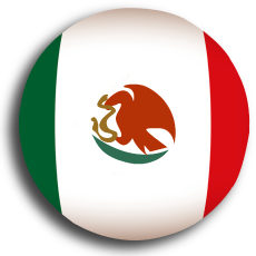 Balón 2024