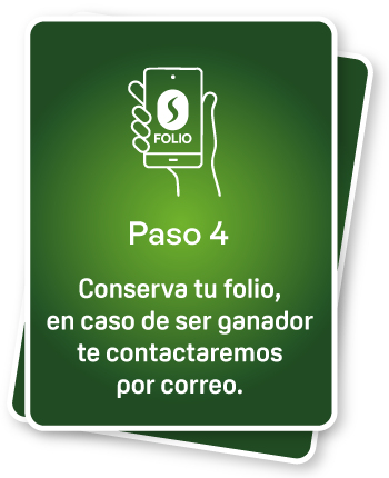 Paso 4